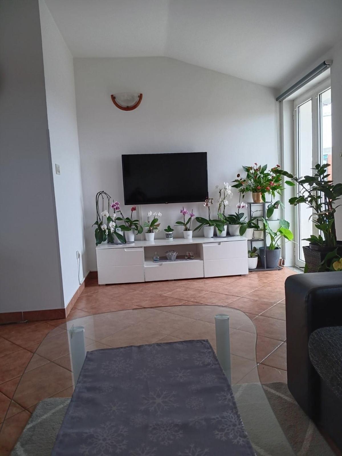 Apartman Sara روفينج المظهر الخارجي الصورة